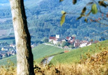 Tocht Te voet Sachsenheim - Weitblickweg Hohenhaslach - Photo