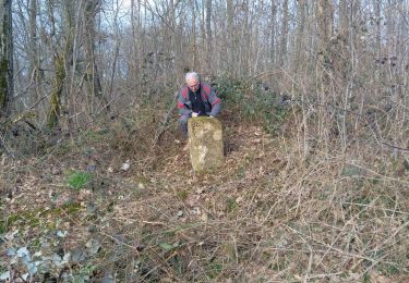 Tocht Stappen Montigny-la-Resle -  ZB9 et  ZB10 - Bornage 1728  - 13022024 - Photo