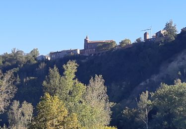 Percorso Marcia Saint-Lieux-lès-Lavaur - Sentier de la plaine d'Agout Saint Lieux les Lavaur - Photo