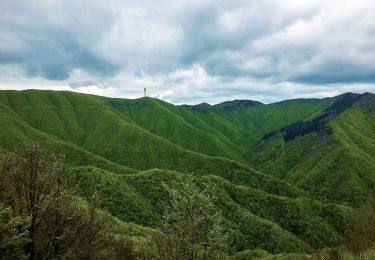 Tocht Te voet Montale - Sentiero CAI 32 - Sez. Prato - Photo