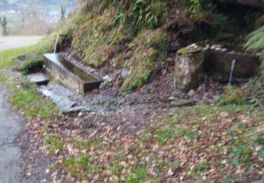 Tocht Stappen Laruns - la fontaine du curé  - Photo