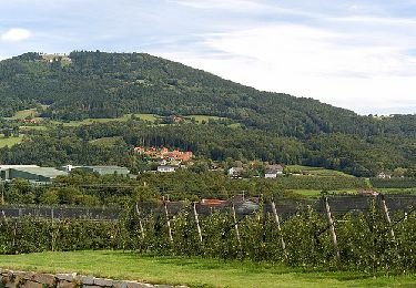 Tocht Te voet Puch bei Weiz - Ilzbergrunde - Photo