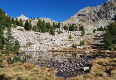 Tocht Stappen Saint-Martin-Vésubie - Lacs Negre et Graveirette - Photo