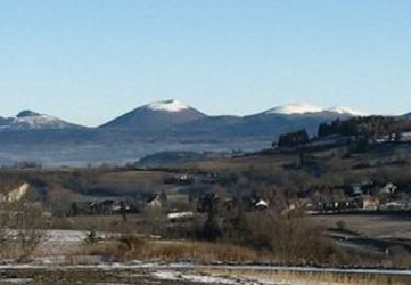Trail Walking Rochefort-Montagne - Rochefort_Puy_Ebert - Photo
