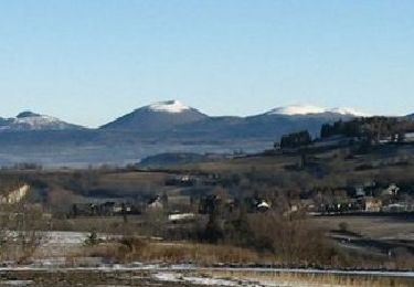 Tour Wandern Rochefort-Montagne - Rochefort_Puy_Ebert - Photo