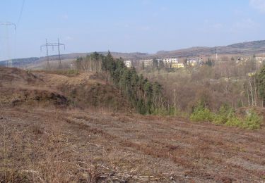 Excursión A pie Zákupy - NS Zákupy - Photo