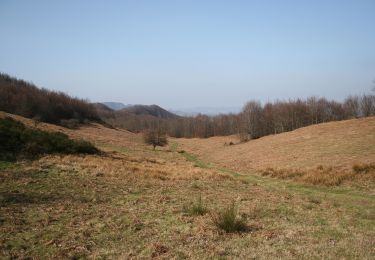 Tocht Te voet Marradi - L’Acquacheta e il Monte Lavane - Photo