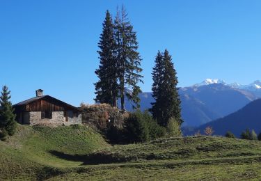 Trail Walking Beaufort - Col de Roche Plane - Photo