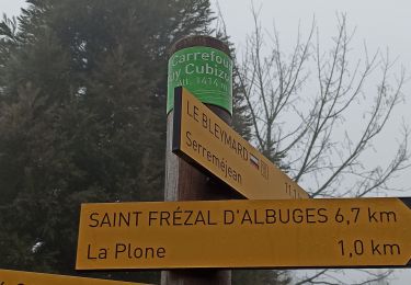 Excursión Senderismo Mont Lozère et Goulet - Chemin de Stevenson J7 : Chasseradès - le Mont Lozère - Photo