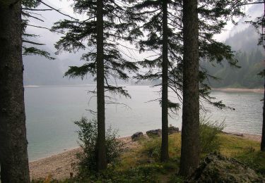 Percorso A piedi Tarvisio - Giro del Lago - Photo