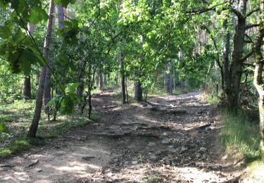 Tocht Stappen Beauzac - Chapelle du Fraisse - Photo