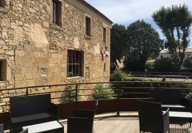 Trail Walking Moussan - La Robinetterie - Photo