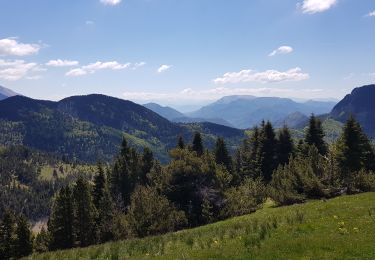 Trail Walking Saint-Julien-en-Beauchêne - 2029 05 31 les 4 cols - Photo