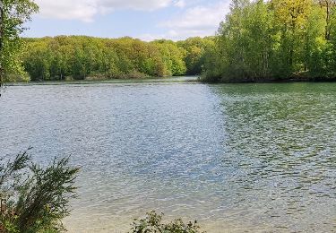 Tocht Stappen Froidchapelle - La balade du bois du Grand Oupia aux lacs de l'eau d'heure - Photo