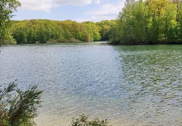 Randonnée Marche Froidchapelle - La balade du bois du Grand Oupia aux lacs de l'eau d'heure - Photo