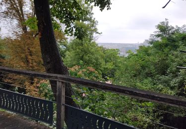 Randonnée Marche Meudon - Le PR8 de Meudon à Suresnes - Photo
