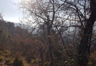 Tour Wandern Levens - Ste Claire Ste Claire  - Photo