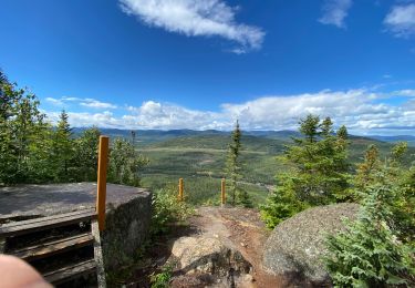 Tour Wandern Petite-Rivière-Saint-François - Gabrielle-Roy EST - Photo