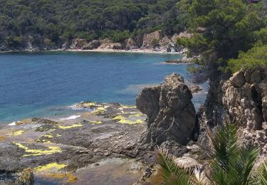 Trail Walking Hyères - giens ouest - Photo