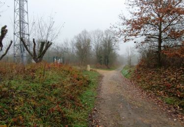 Randonnée Marche Saulny - lorry - Photo