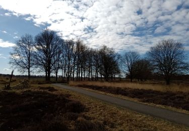 Randonnée Vélo de route Aa en Hunze - schoonloo - Photo