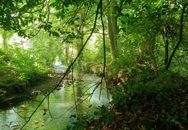 Randonnée Marche nordique Le Drennec - le drenec. Loc brevelaire  - Photo