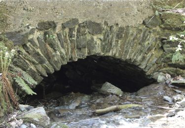 Randonnée A pied Melsbach - Rheinsteig-Zuweg Melsbach - Photo