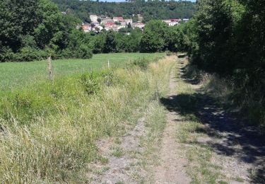 Tour Wandern Tourzel-Ronzières - tourzel - Photo