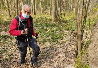 Trail Walking Vélizy-Villacoublay - Le Doisu - Photo