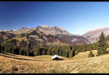 Randonnée Marche Praz-sur-Arly - Tête du Torraz - Photo