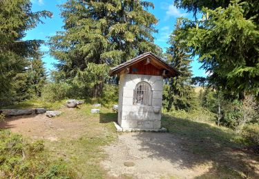 Randonnée Marche Manigod - ARAVIS: PLATEAU DE BEAUREGARD - Photo