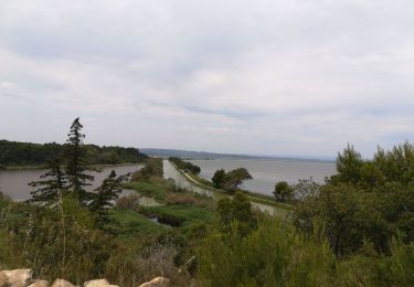 Trail Walking Port-la-Nouvelle - st Lucie 2019 - Photo