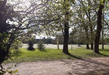 Excursión Senderismo Rueil-Malmaison - rueil malmaison parc de bois Préau - Photo