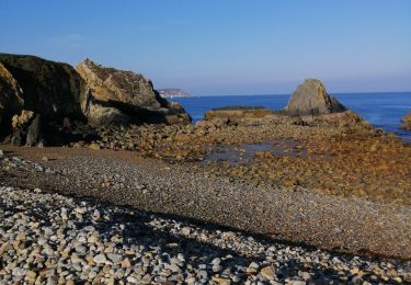 Tour Wandern Crozon - camaret3 - Photo