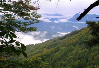 Tocht Te voet Amblar-Don - Prazollsteig - Photo