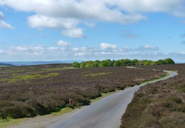 Tocht Te voet  - Pole Bank Walk - Photo