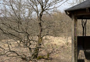 Excursión Senderismo Trooz - La Brouck Ninane Bois de la Walthine - Photo