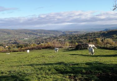 Tour Wandern Saint-Bauzile - Saint bauzille  - Photo