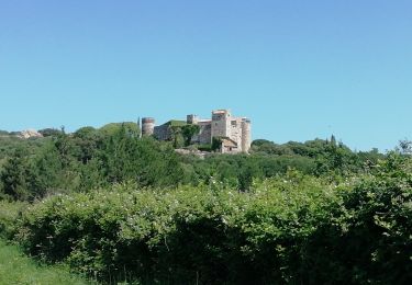 Percorso Mountainbike La Capelle-et-Masmolène - 30-vtt-lacapelle-St-Siffret-25km-230m-juin21 - Photo