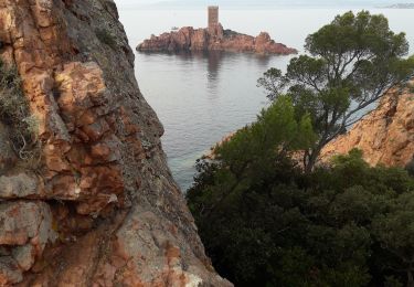 Randonnée Marche Saint-Raphaël - Tour du Cap Dramont au départ du studio - Photo