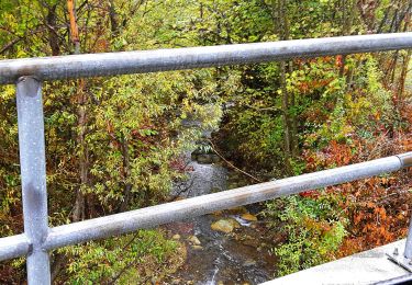 Tocht Te voet Birmensdorf (ZH) - Birmensdorf - Aesch - Photo