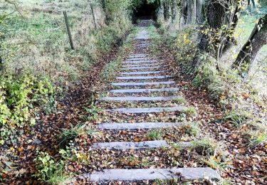 Excursión Senderismo Olne - Balade des grès de Vaux   - Photo