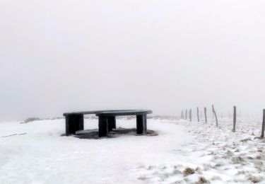 Tour Wandern Wildenstein - 2022-02-20 Marche Kruth Grand Ventron - Photo