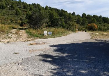 Tour Zu Fuß Cuges-les-Pins - vallon des martirs Riboux - Photo