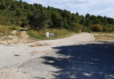 Excursión A pie Cuges-les-Pins - vallon des martirs Riboux - Photo