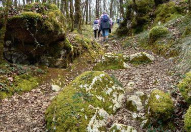 Tour Wandern Coly-Saint-Amand - coly300322 - Photo