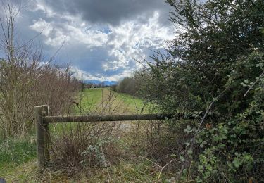 Tour Wandern Uzein - Uzein fait - Photo