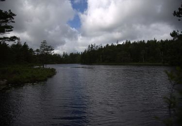 Percorso A piedi  - Korsvatten Röd - Photo