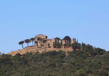 Excursión A pie Tuoro sul Trasimeno - Sanguineto - Monte Gualandro - Photo