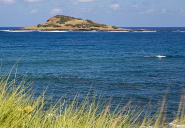 Tour Zu Fuß Guadalupe - Serra Branca - Praia - Photo